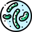 Parasite icon 64x64