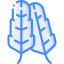 Feathers icon 64x64