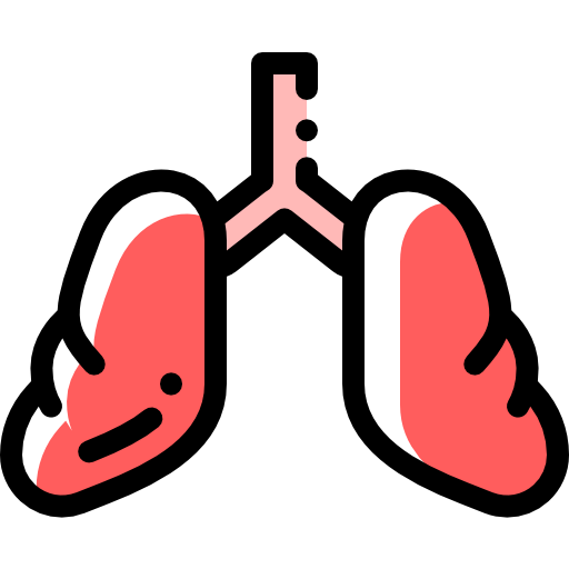 Lungs icon