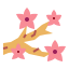 Sakura アイコン 64x64