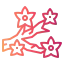 Sakura アイコン 64x64