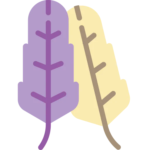 Feathers icon