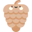 Pine cone icône 64x64