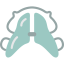 Braces icon 64x64