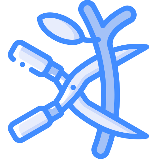 Branch icon