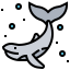 Whale icon 64x64