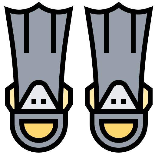 Flippers icon