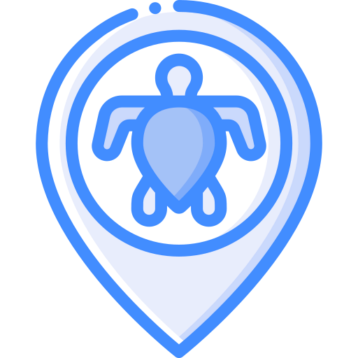 Pin icon