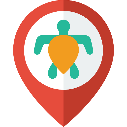 Pin icon