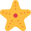 Starfish icon 64x64