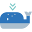 Whale icon 64x64