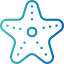 Starfish icon 64x64