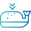 Whale icon 64x64