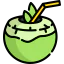 Coconut icon 64x64