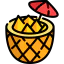 Pineapple icon 64x64