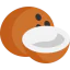 Coconut icon 64x64