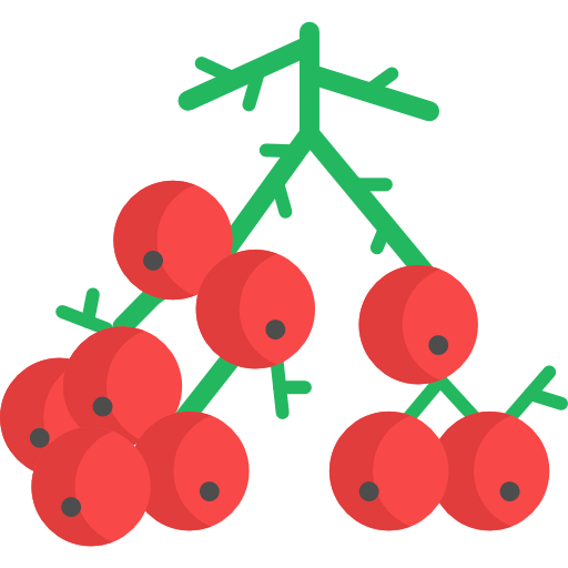 Berries icon