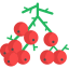 Berries icon 64x64