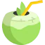 Coconut icon 64x64