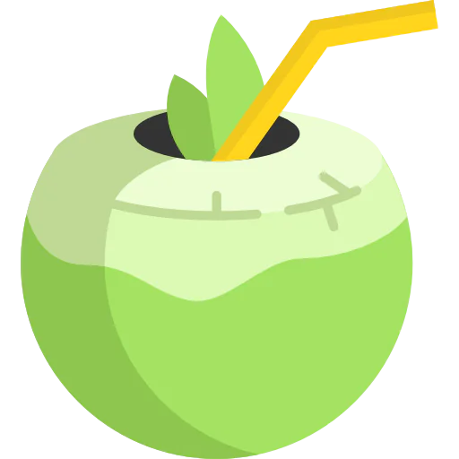 Coconut icon