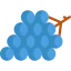 Grapes icon 64x64