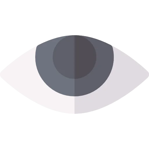 Eye icon