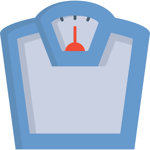 Scale icon