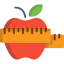 Diet icon 64x64