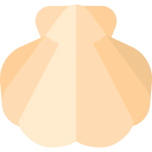 Seashell icon