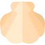 Морская ракушка иконка 64x64