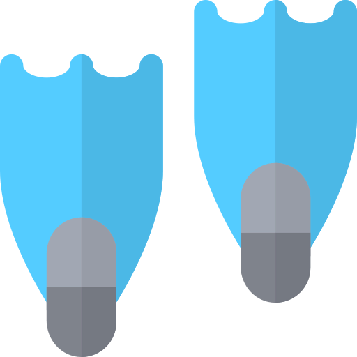 Flippers icon