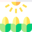 Light icon 64x64