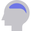 Brain icon 64x64