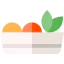 Salad icon 64x64