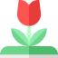 Flower icon 64x64