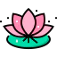 Lotus icon 64x64