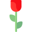 Rose icon 64x64