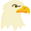Eagle icon 64x64