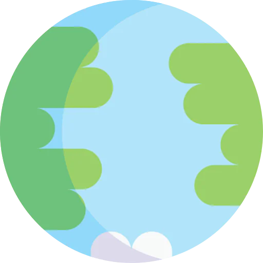 Earth icon