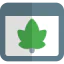 Leaf icon 64x64