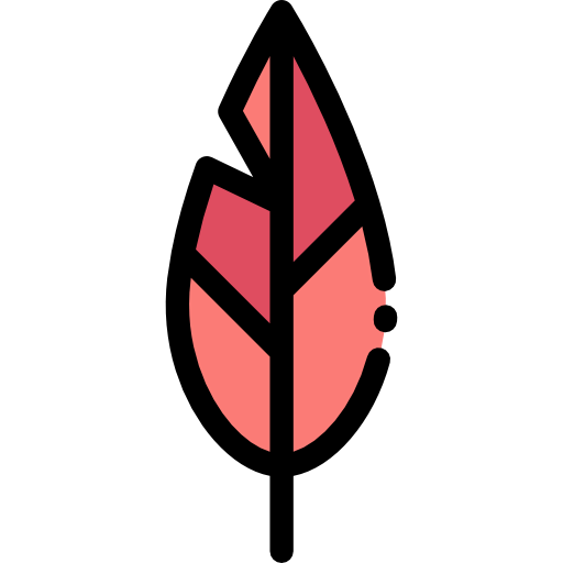 Feather icon