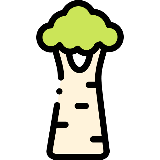 Baobab icon