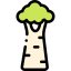 Baobab icon 64x64