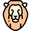 Lion icon 64x64