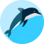 Dolphin icon 64x64