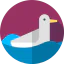 Seagull icon 64x64