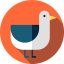Seagull icon 64x64