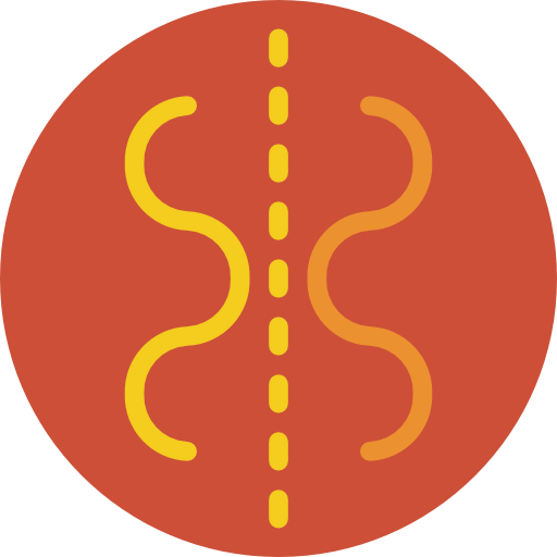 Mirror icon