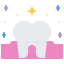 Molar icon 64x64