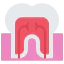Molar icon 64x64